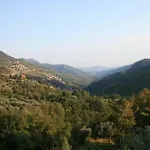 La Rosa Dei Venti * Erli